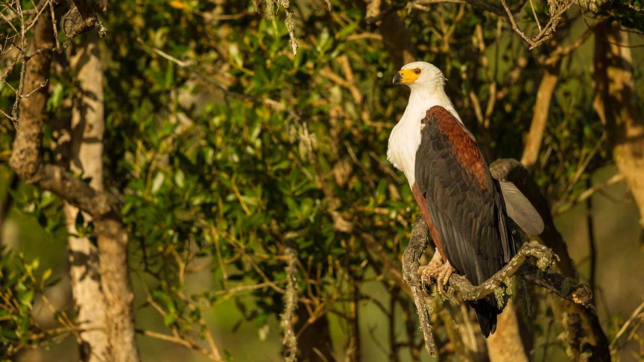 מלון Saint Lucia Estuary Kwalucia Private Safari Retreat מראה חיצוני תמונה