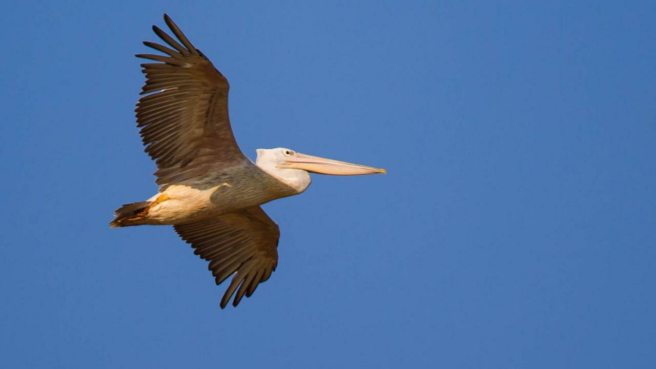 מלון Saint Lucia Estuary Kwalucia Private Safari Retreat מראה חיצוני תמונה