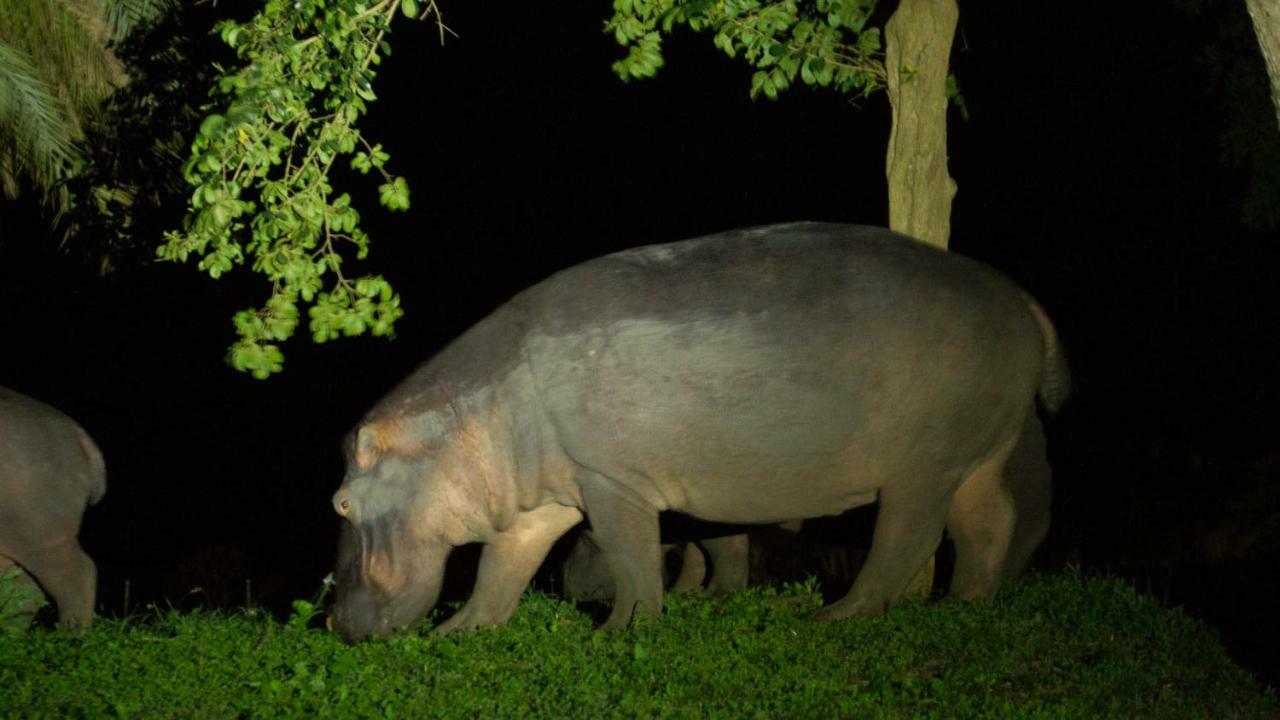 מלון Saint Lucia Estuary Kwalucia Private Safari Retreat מראה חיצוני תמונה