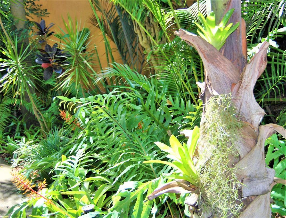מלון Saint Lucia Estuary Kwalucia Private Safari Retreat מראה חיצוני תמונה
