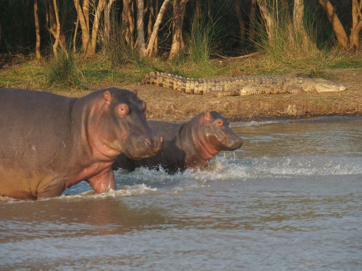 מלון Saint Lucia Estuary Kwalucia Private Safari Retreat מראה חיצוני תמונה