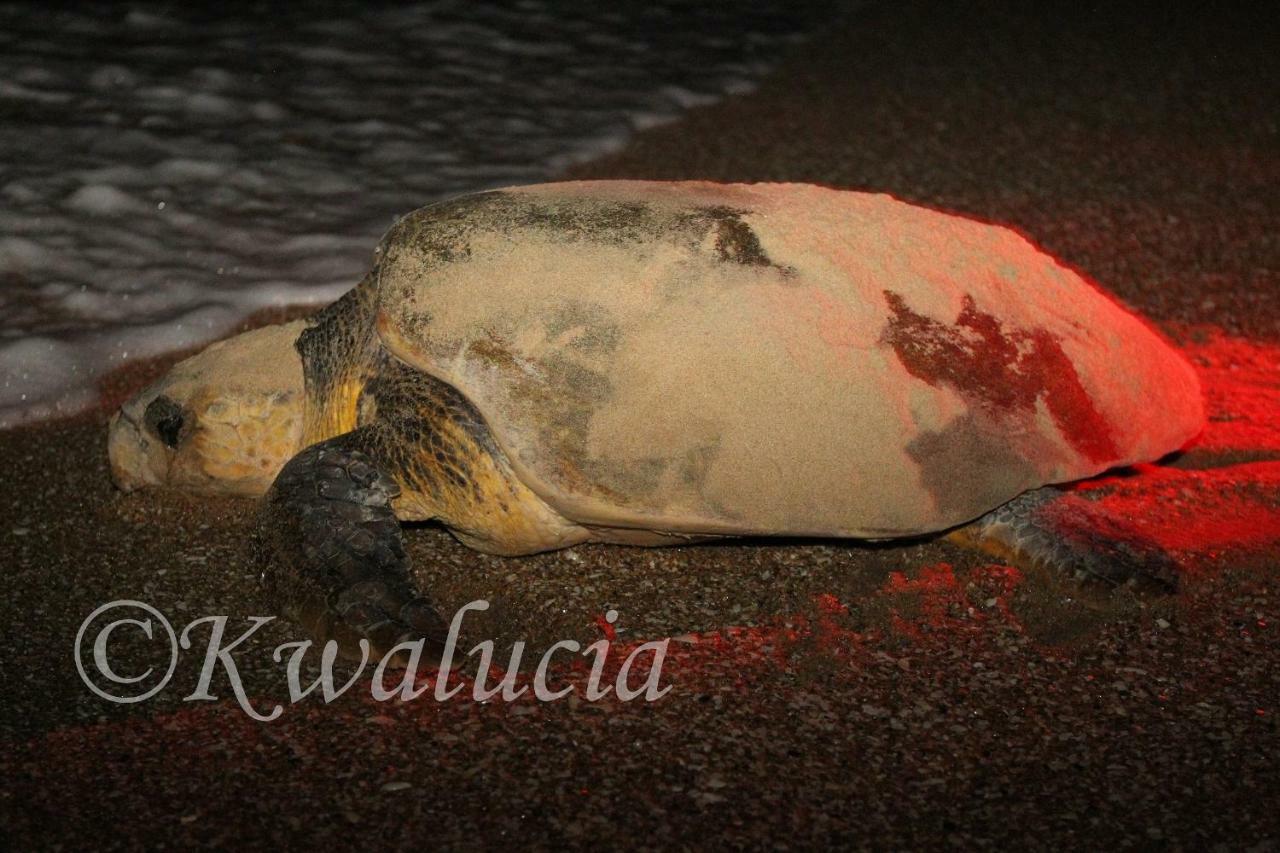 מלון Saint Lucia Estuary Kwalucia Private Safari Retreat מראה חיצוני תמונה
