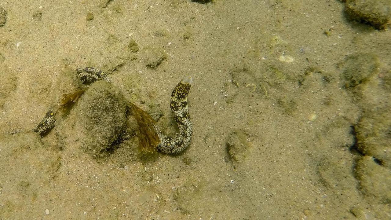 מלון Saint Lucia Estuary Kwalucia Private Safari Retreat מראה חיצוני תמונה