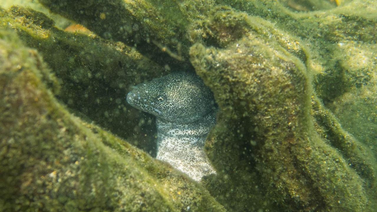 מלון Saint Lucia Estuary Kwalucia Private Safari Retreat מראה חיצוני תמונה